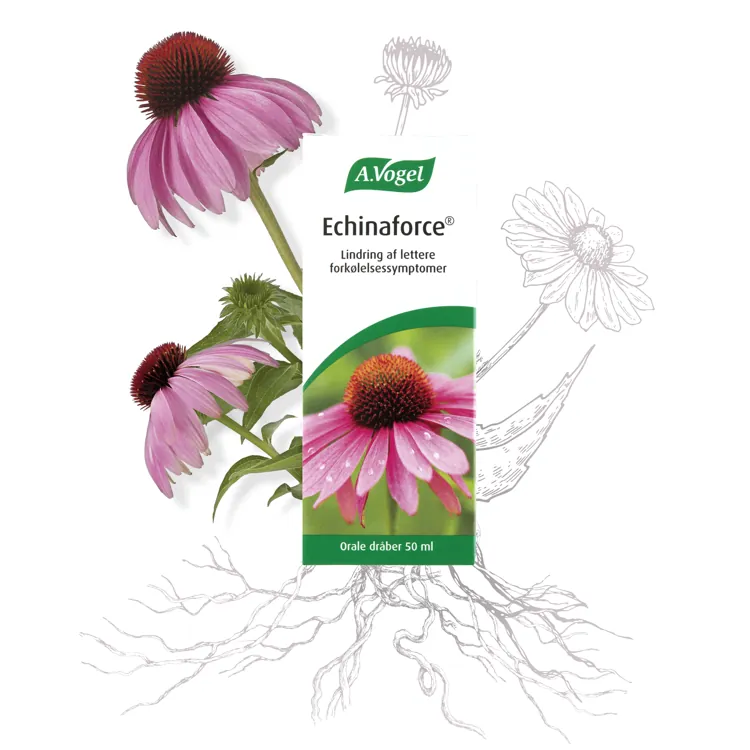 Echinaforce – Naturlægemiddel | 50 ml | A. Vogel