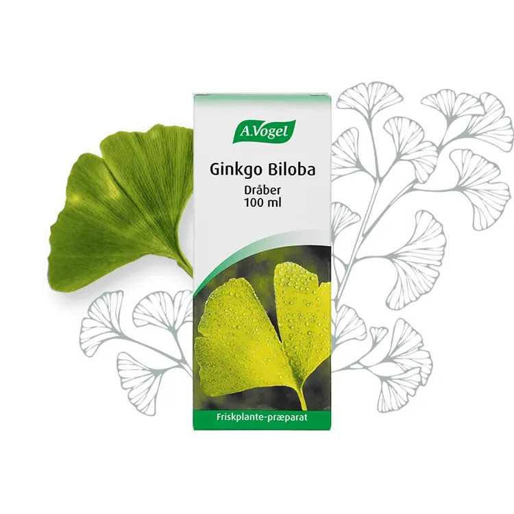 Ginkgo Biloba dråber | 100 ml | A. Vogel