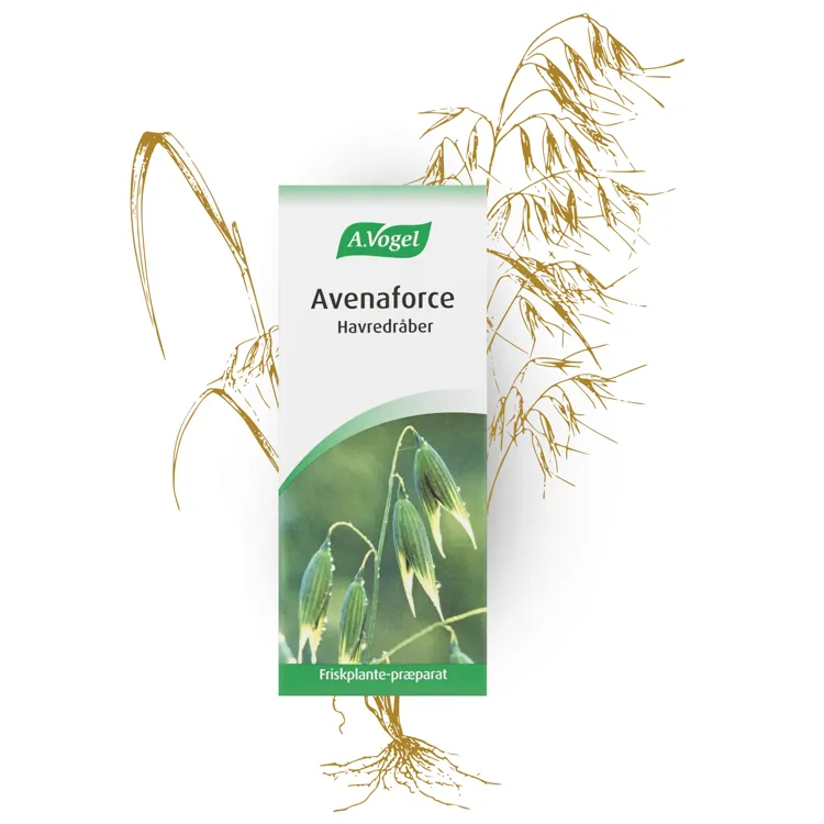 Avenaforce havredråber | 100 ml | A. Vogel