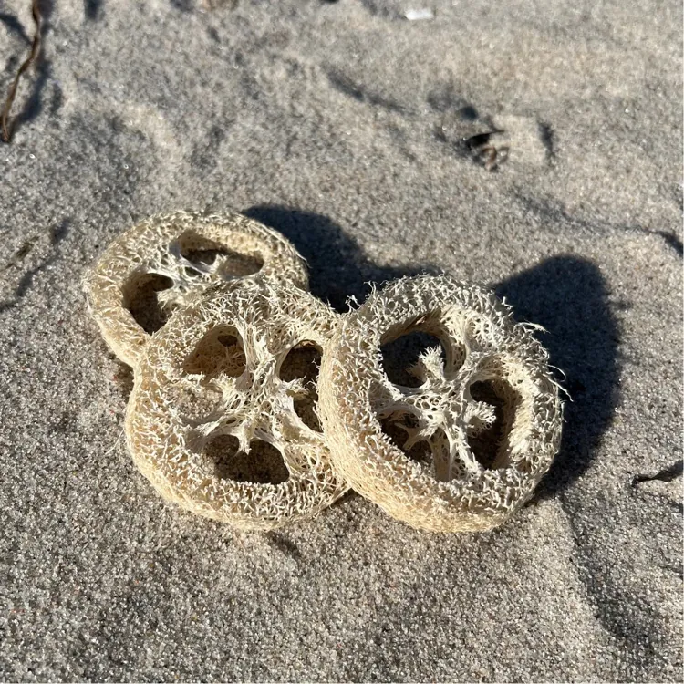 Loofah svamp sæbeholder og eksfoliering | Kystnær